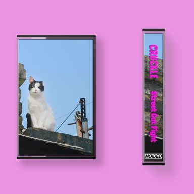 Cruckle - Street Cat Fight Cassette Cruckle - Street Cat Fight